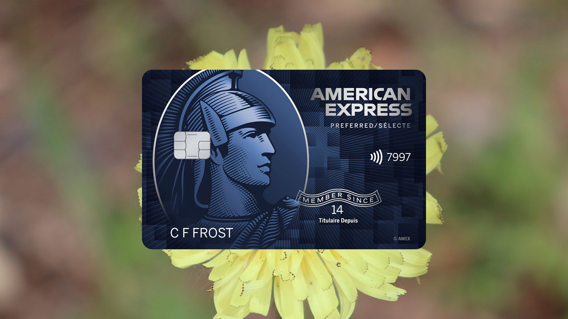 How to Apply for the AMEX SimplyCash Preferred Card from American Express